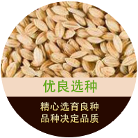 智能網(wǎng)絡營銷矩陣